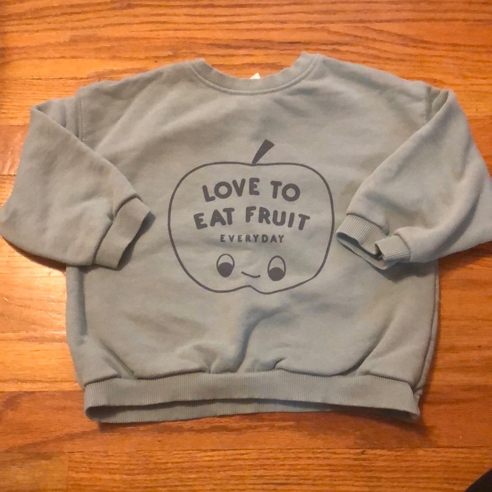 Zara Kids - Love to Eat Fruit Sweatshirt